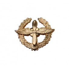 Эмблема ВВС стар.обр. золото
