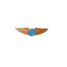 Эмблема "Крылья" Гражданская авиация на тулью