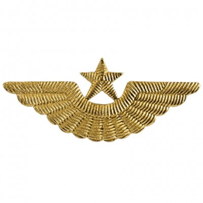 Эмблема "Крылья" ВВС,ВДВ на тулью старого образца
